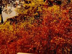 [소유욕/기록]4-우리