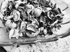 [미수반] 수 경사님 낙서