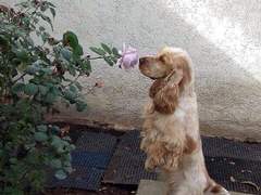 알바 커미션 샘플(1)