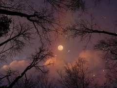 자유의지의 허상