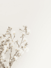 [은혼 드림] 스위트 홈