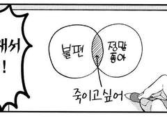 결혼하고 싶지 않은 CR 멤버 조사결과