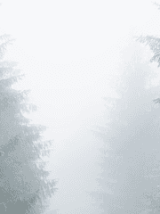 무.연(무료연재)