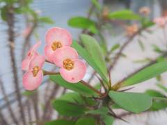 나의 의원면직 절차(3-2)인사 담당자가 그렇게 나올 줄이야