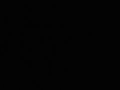 아라라 고멘⭐️