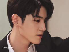 신성한 법정에서 연애하기