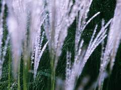 [이코] 09/20 | 나를 아끼는 것