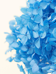 의원 다시 살다