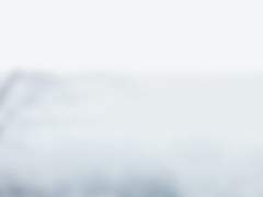 흰 부엉이의 부름