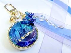 별이 빛나는 오로라 키링 수요폼