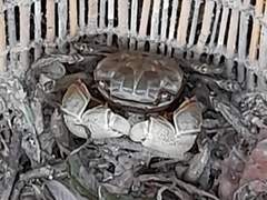 밤에 자전거 탄 일기