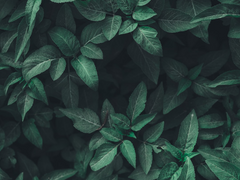 레디메이드: 043 (판매완료/포폴미공개)