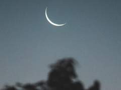 호즈노미야 시오 / XX / 3학년