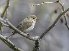 [제너럴 리딩] 나의 올해 남은 운세는?