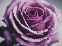 멤버별 단편 및 연재글이 궁금하신 분들께 알려드려요:)