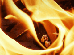 불타는 열정에 녹아버리러 가자!