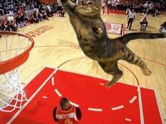 Quarter 3. 諦めたらそこで試合終了だよ。