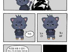 그냥 메구냥이 나오는 만화