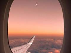 신미애 XX 학생기록부