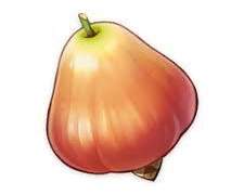 그 오빠와 그 동생의 사정 36