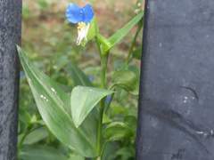 하라는 공부는 않고, 공시생 남편이 매일 밤 정신 팔렸던 그것