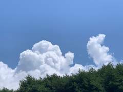 (이벤트)난 나만의 세계를 구축하고있어