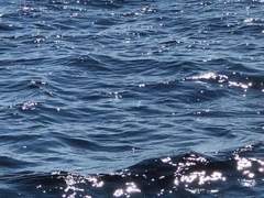 좋아하다 못해 사랑해 TALK 完-2