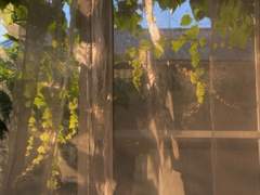 처음이자 마지막으로