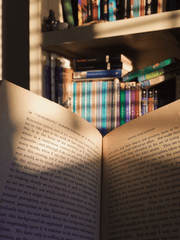 내 최애가 이상하다