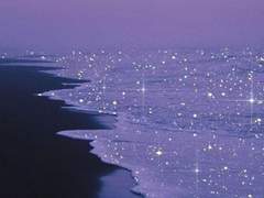 가짜 센티넬로 살아남기