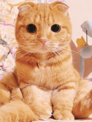 [원신] 주정뱅이 바람신한테 찍혔다.....