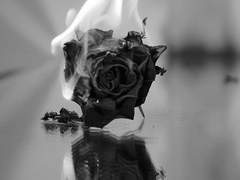 타고난 이 천성이 고약해서