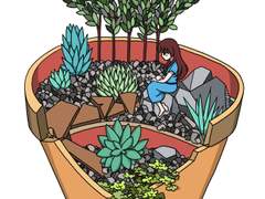 깨진 화분 정원