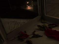 자아, 판도라를 열어볼까.