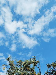 잡덕 드라마연성