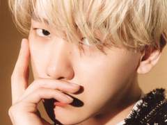 월하궁전 (月下宮殿)