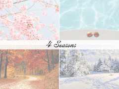 { [ 봄여름가을겨울 특촬 합작 ] }