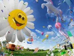 [SVT 논페스] 앨리스의 일기 1