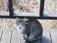 실없으면 '0 칼로리'