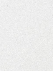 메인수의 그림자는 이제 그만 죽어 드리겠습니다