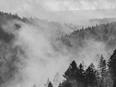 [명급리] 不入虎穴不得虎子 07