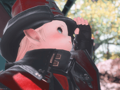 [파판14] 프레지아 아마레나 (Freesia Amarena)