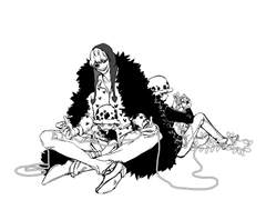 로코라 사랑의 매듭