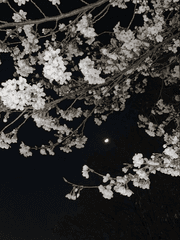 악명 높은 삼각관계