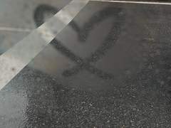 1달만에 아이돌 되는 법