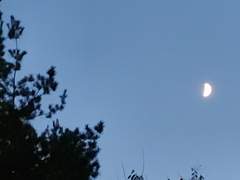 [신카이] 내가 사랑하는 사람은 결국 너야