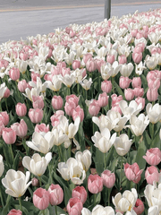 단편글 모아보기