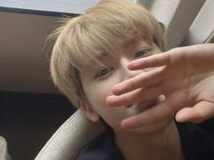 엔시티 나페스 추천