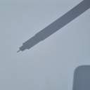 보리차먹은보리차