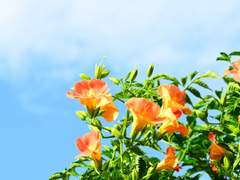 [킨키 KT] 실없는 연애